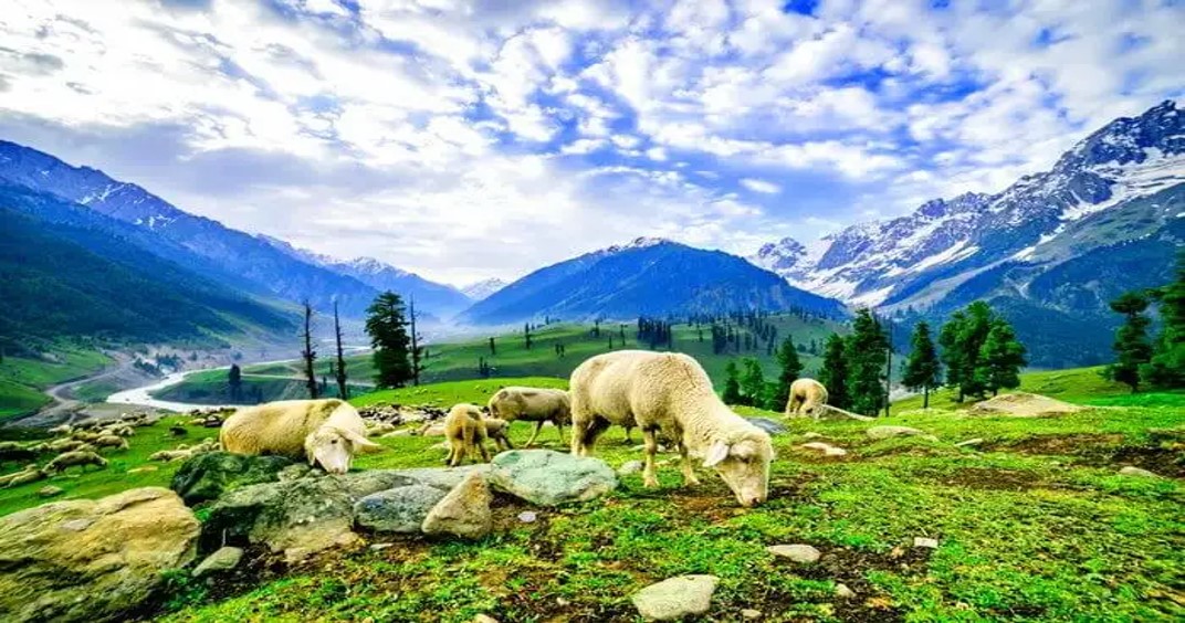 Here’s Why Kashmir Is Called Heaven On Earth