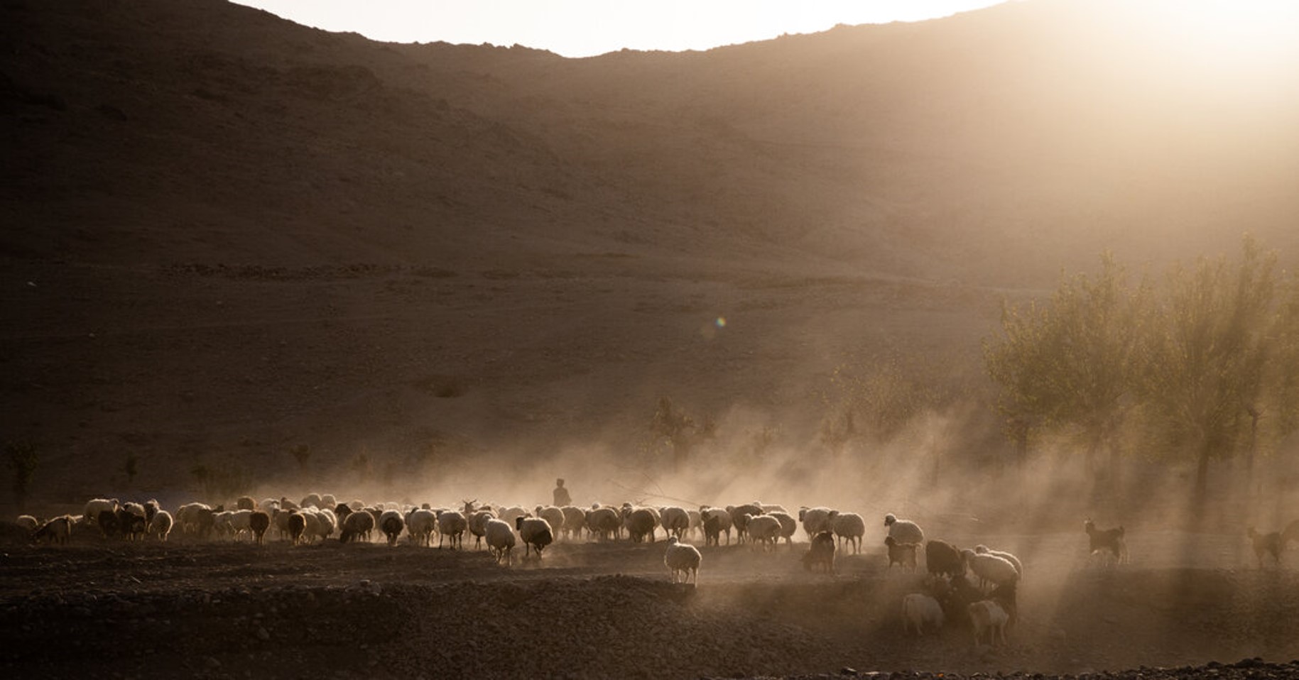 In Afghanistan, ‘Who Has the Guns Gets the Land’