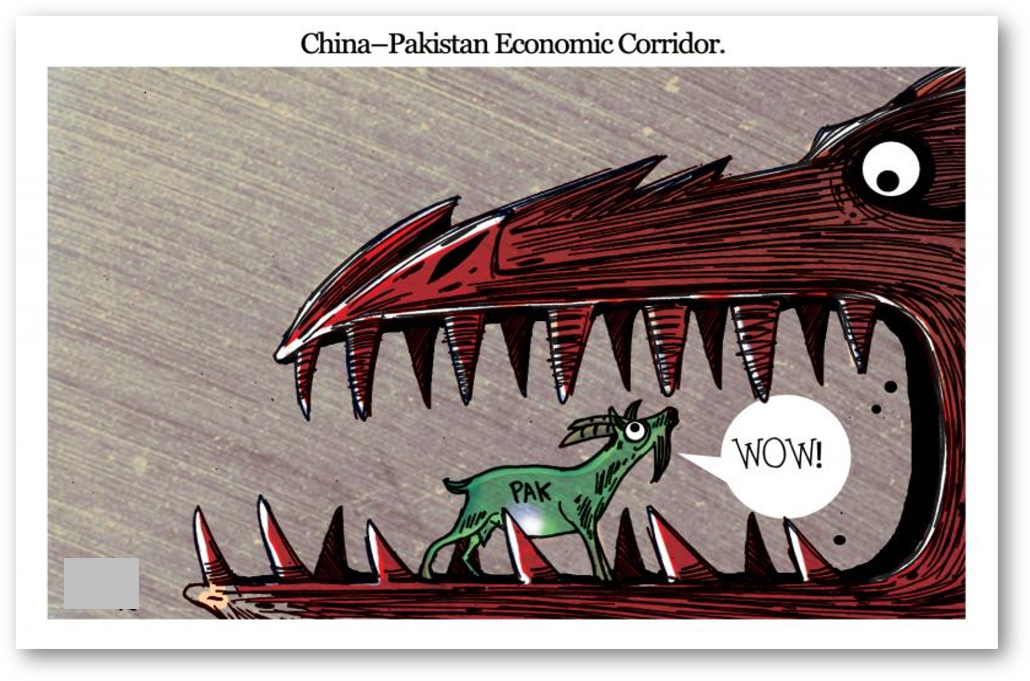 PAKISTAN SNUBS NAVY TO PLEASE CHINA